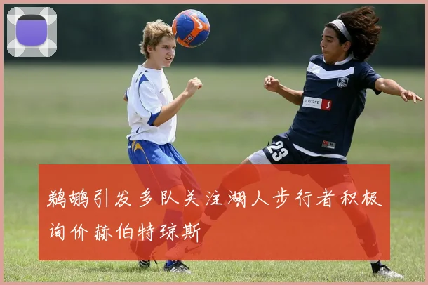 鹈鹕引发多队关注湖人步行者积极询价赫伯特琼斯